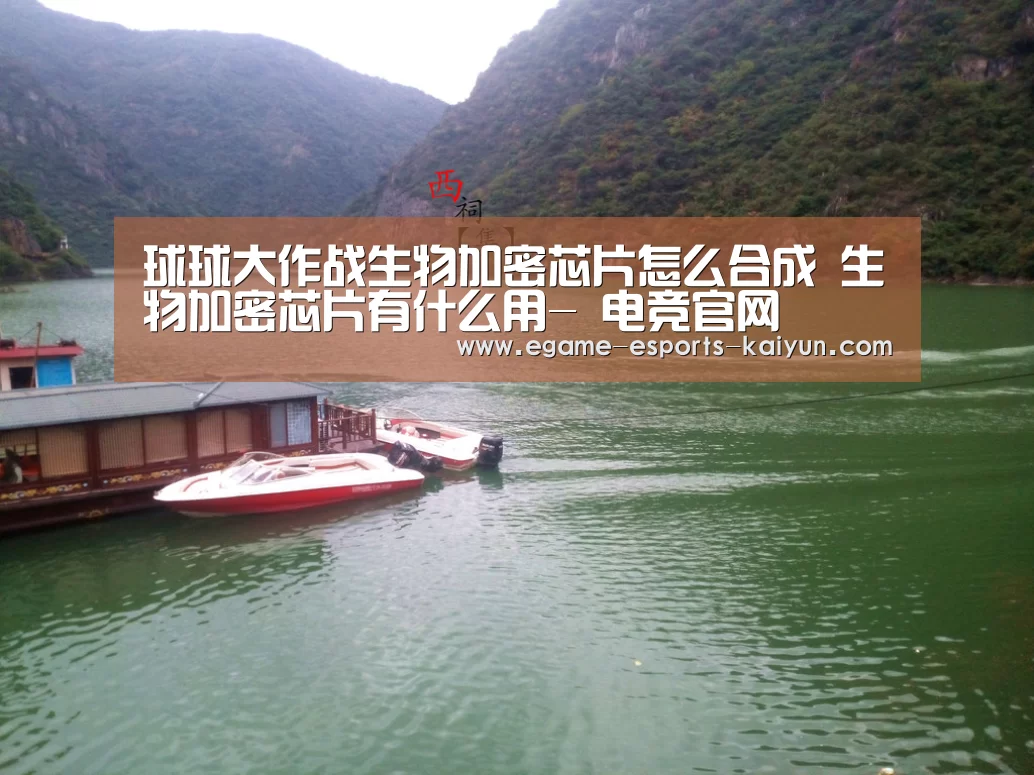球球大作战生物加密芯片怎么合成 生物加密芯片有什么用- 电竞官网(图4) 开云电竞