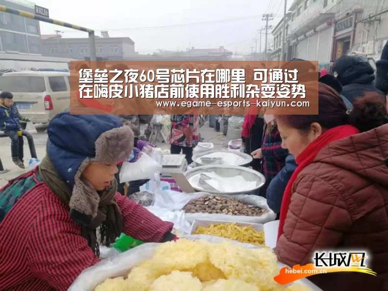 堡垒之夜60号芯片在哪里 可通过在嗨皮小猪店前使用胜利杂耍姿势获得| LOL直播(图4) 电竞官网