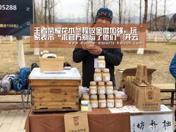 王者荣耀花木兰程咬金微加强,玩家表示“求官方别忘了他们”|开云电竞(图2) LOL直播