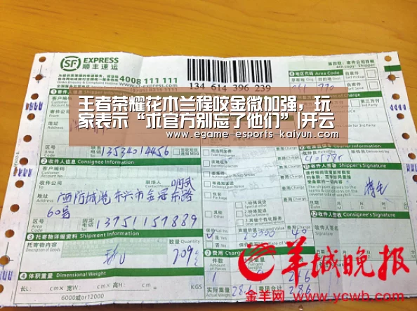 王者荣耀花木兰程咬金微加强,玩家表示“求官方别忘了他们”|开云电竞(图1) LOL直播